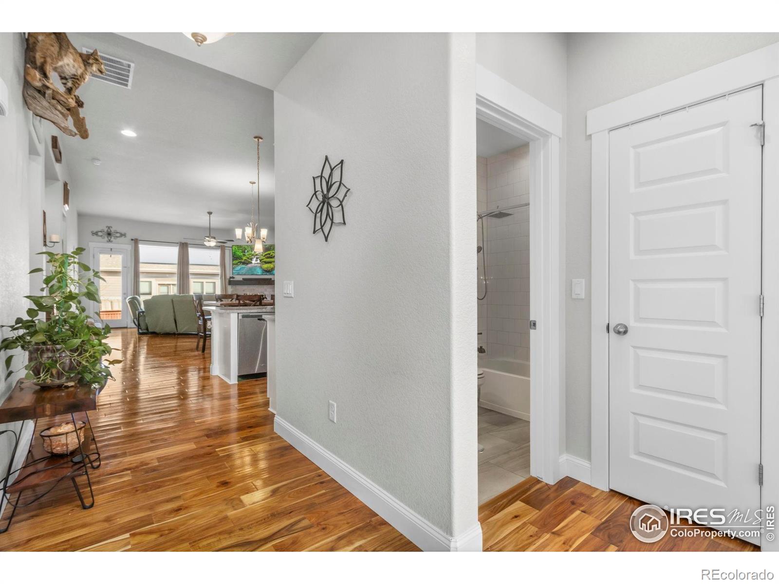 2093 Gather Court Windsor CO 80550