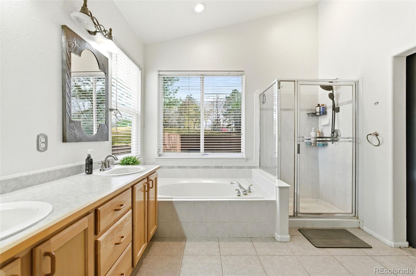10894 Willow Reed Circle Parker CO 80134