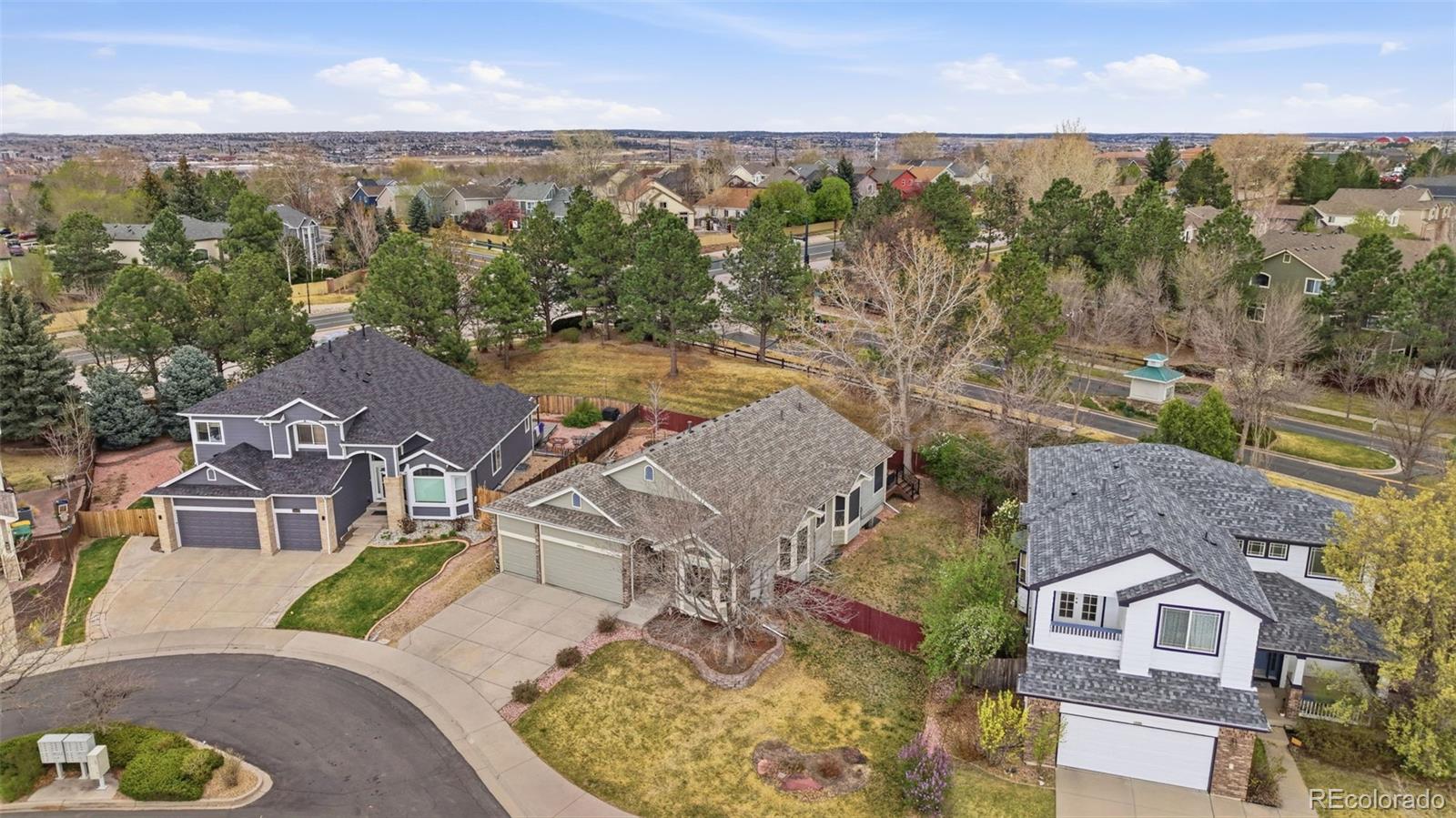 10894 Willow Reed Circle Parker CO 80134