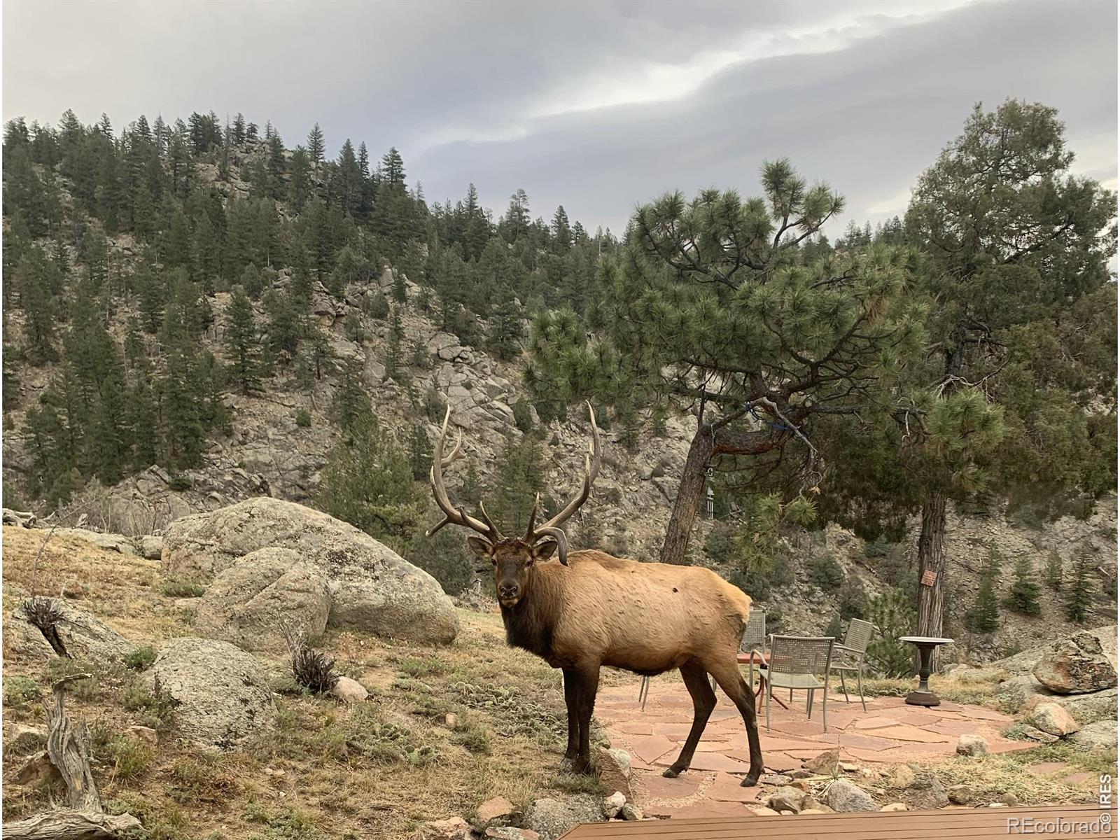 1006 Kneale Road Eldorado Springs CO 80025