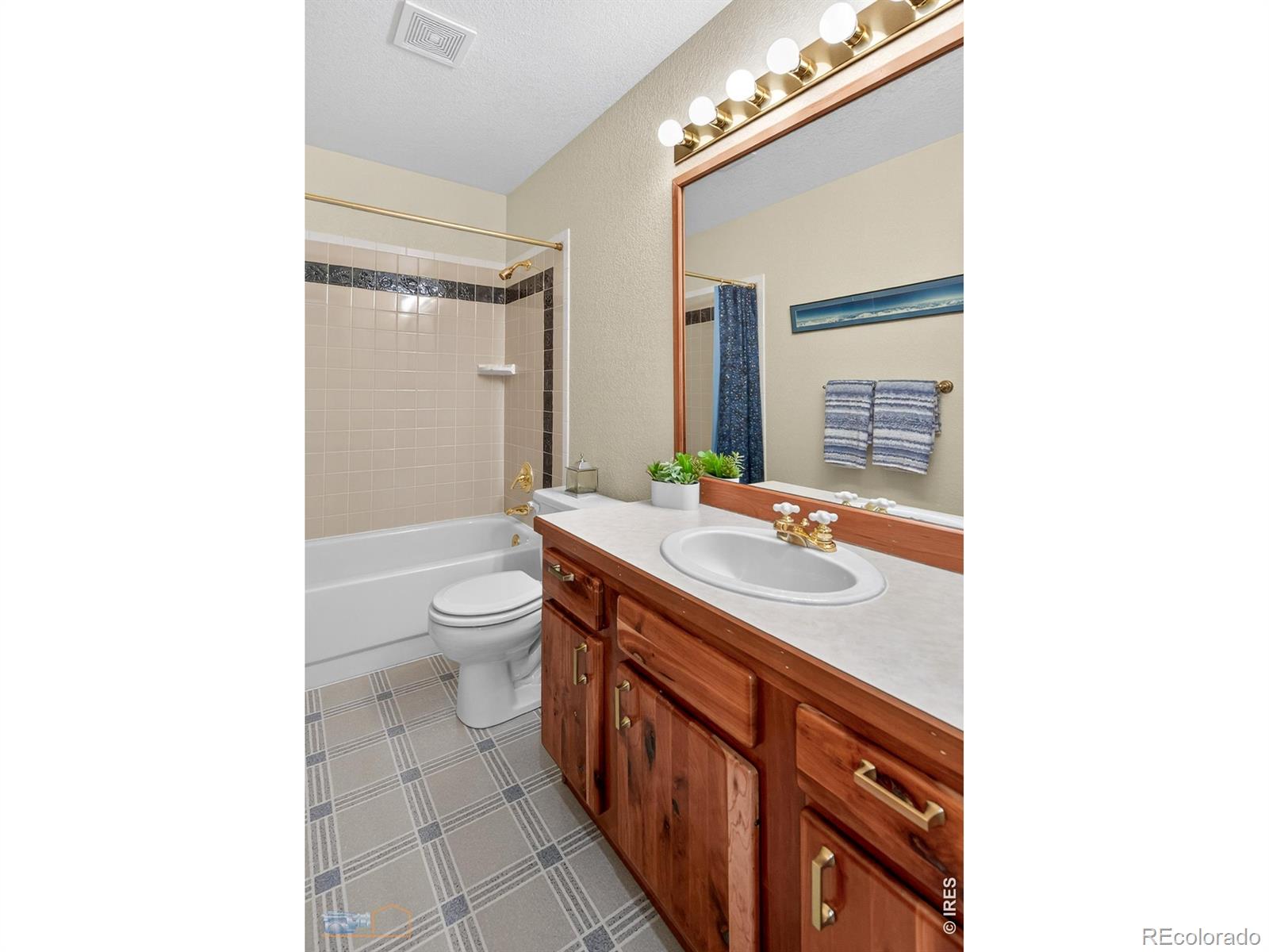 1006 Kneale Road Eldorado Springs CO 80025