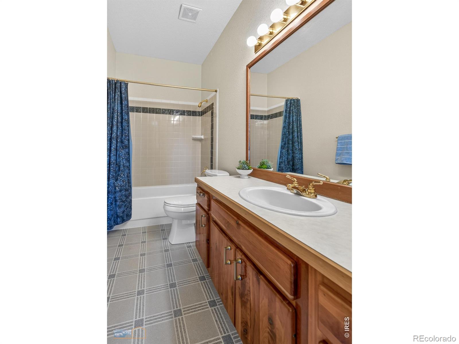 1006 Kneale Road Eldorado Springs CO 80025