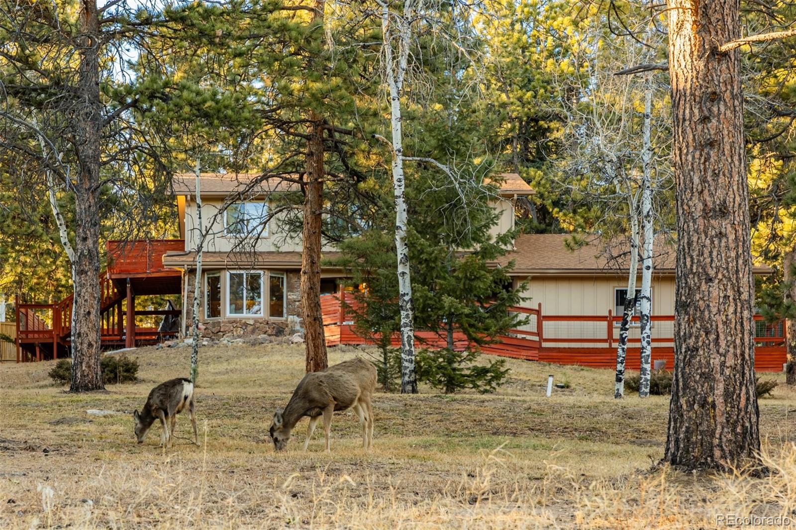 28735 Little Big Horn Drive Evergreen CO 80439