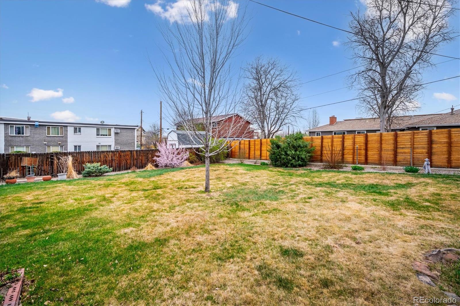 3660 Lee Street Wheat Ridge CO 80033
