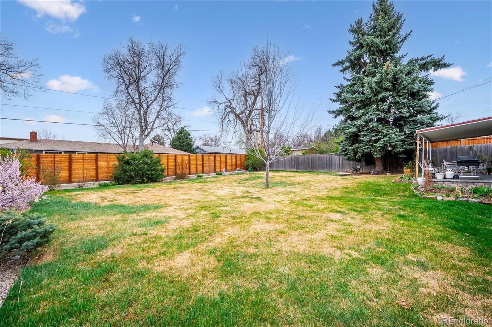 3660 Lee Street Wheat Ridge CO 80033