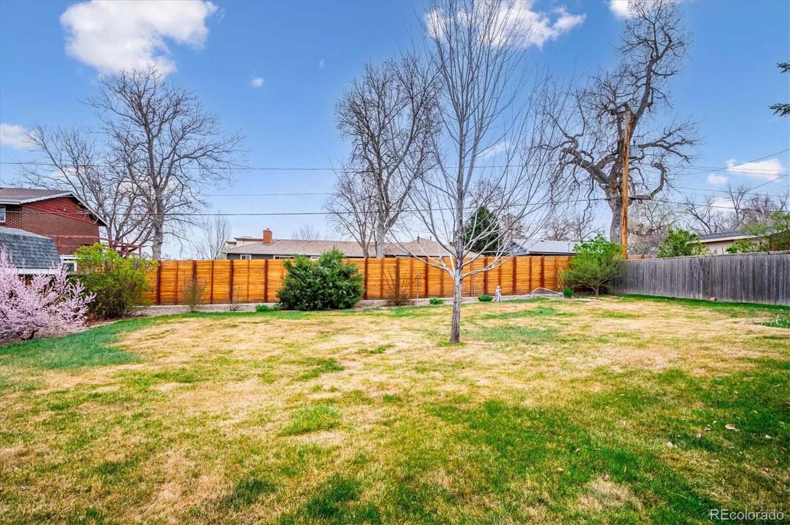 3660 Lee Street Wheat Ridge CO 80033