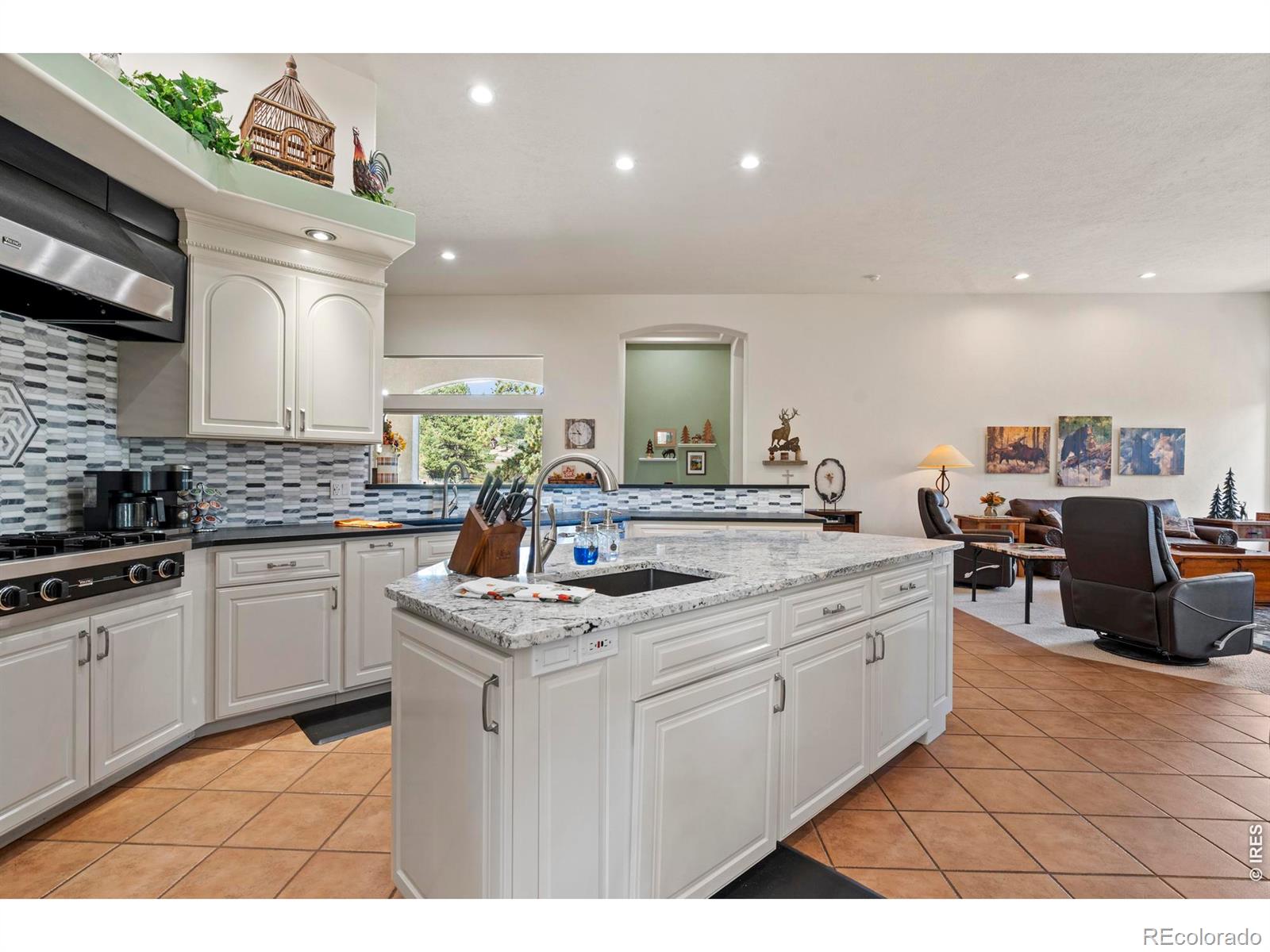 303 Green Pine Court Estes Park CO 80517