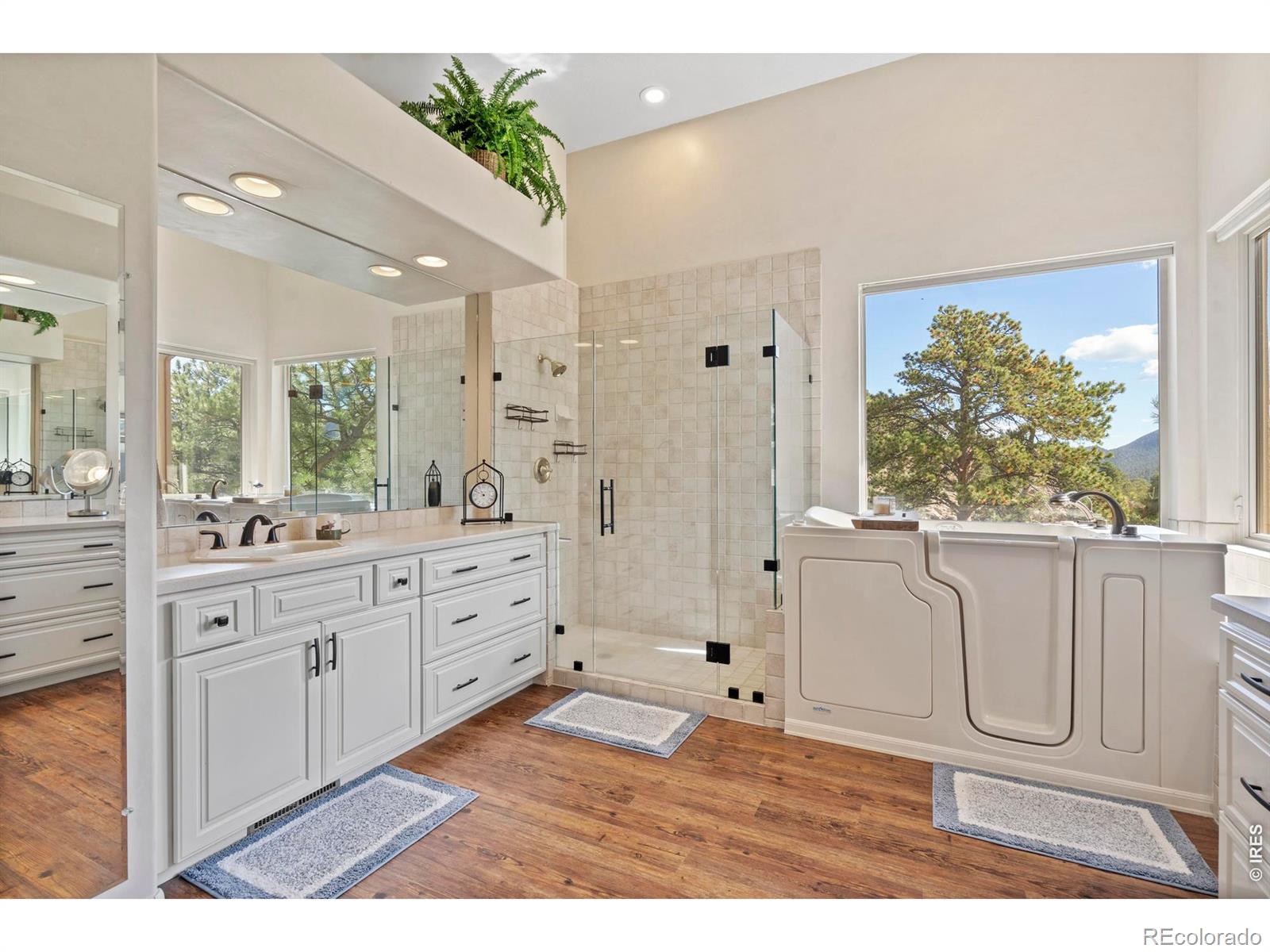 303 Green Pine Court Estes Park CO 80517