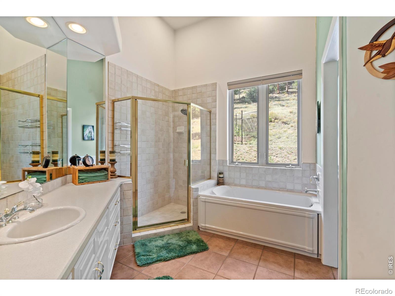 303 Green Pine Court Estes Park CO 80517