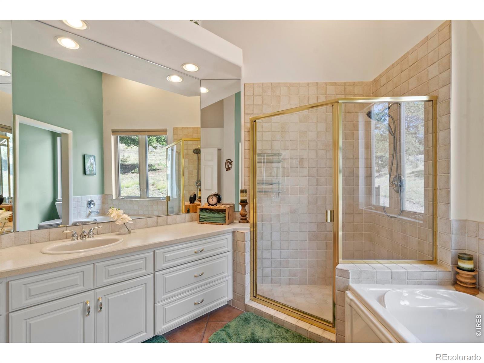 303 Green Pine Court Estes Park CO 80517