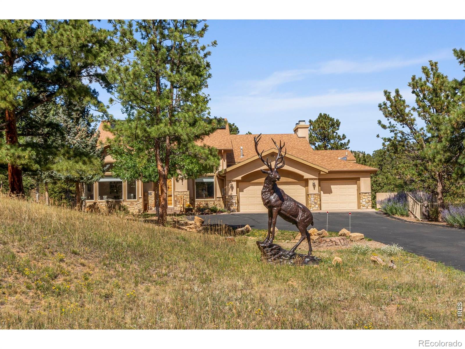 303 Green Pine Court Estes Park CO 80517