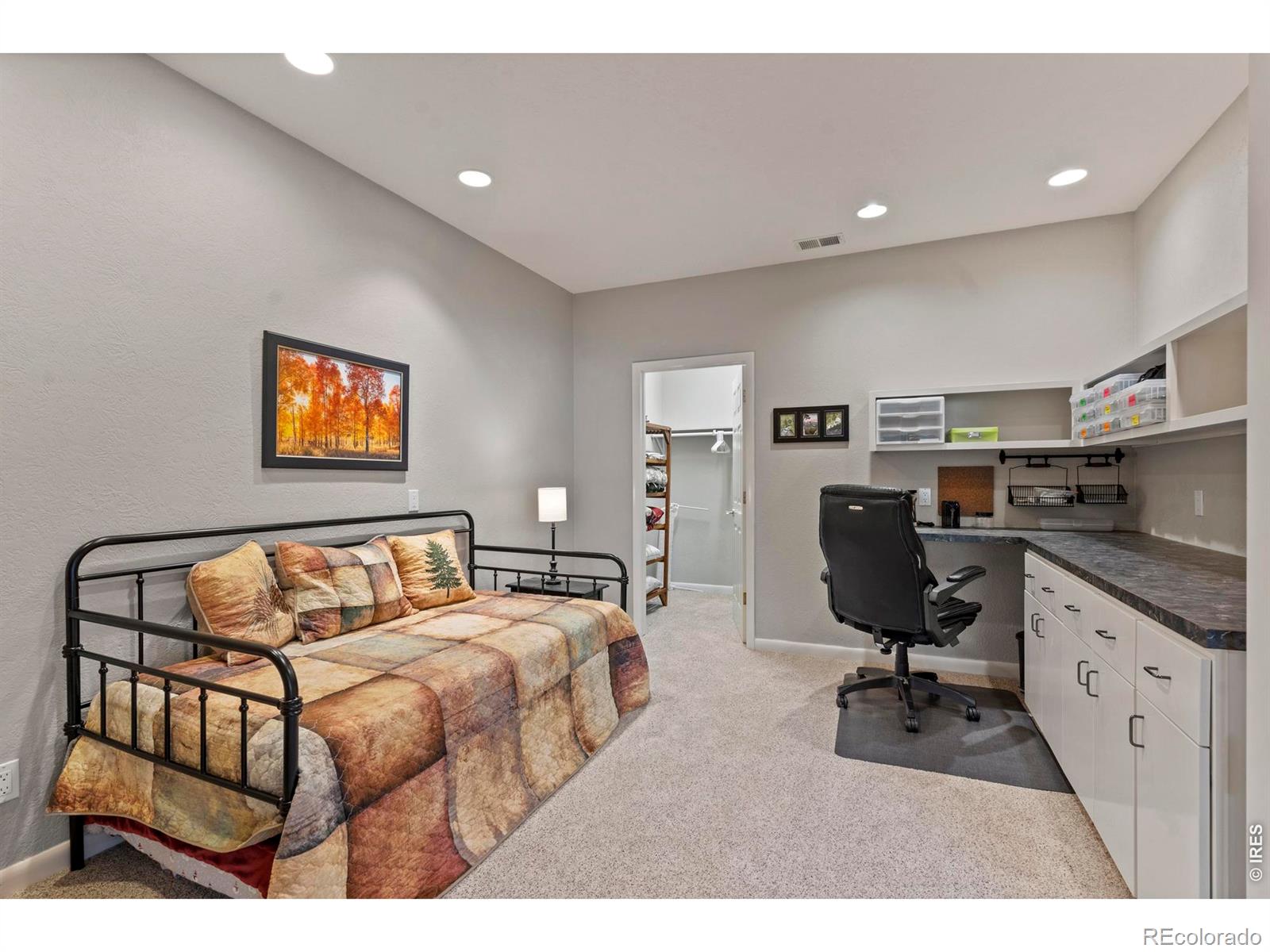 303 Green Pine Court Estes Park CO 80517