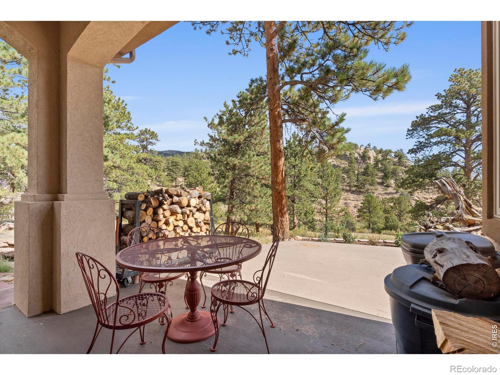 303 Green Pine Court Estes Park CO 80517