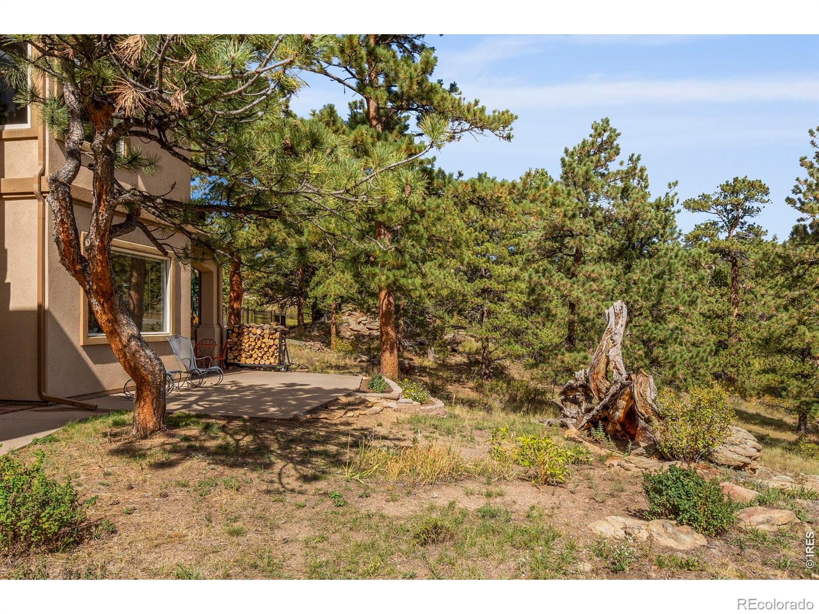303 Green Pine Court Estes Park CO 80517