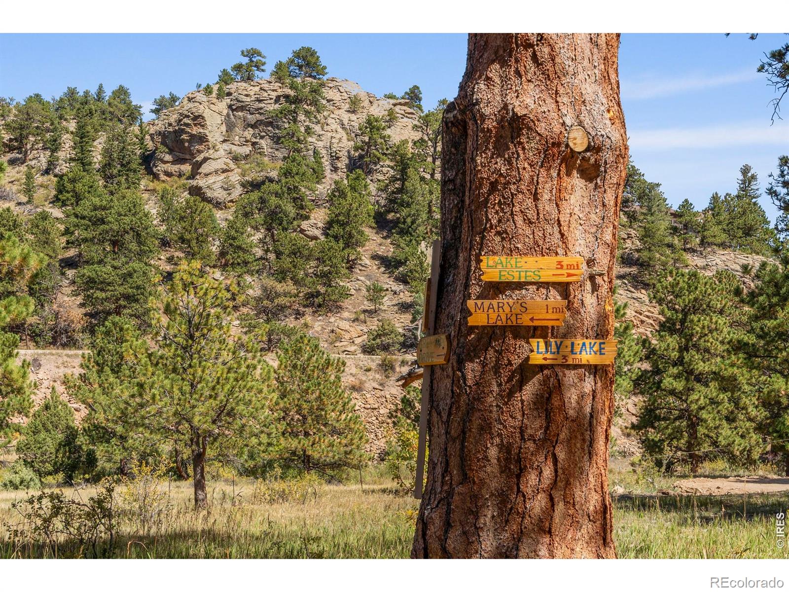 303 Green Pine Court Estes Park CO 80517