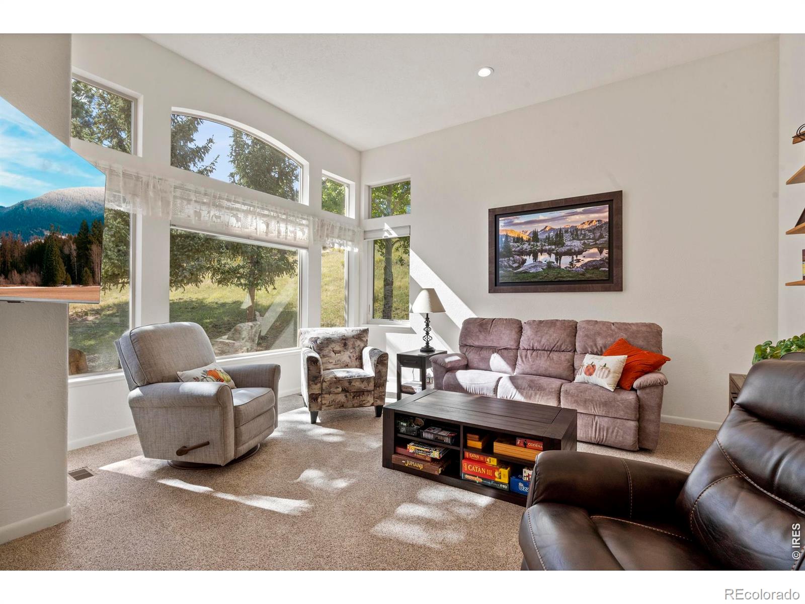303 Green Pine Court Estes Park CO 80517
