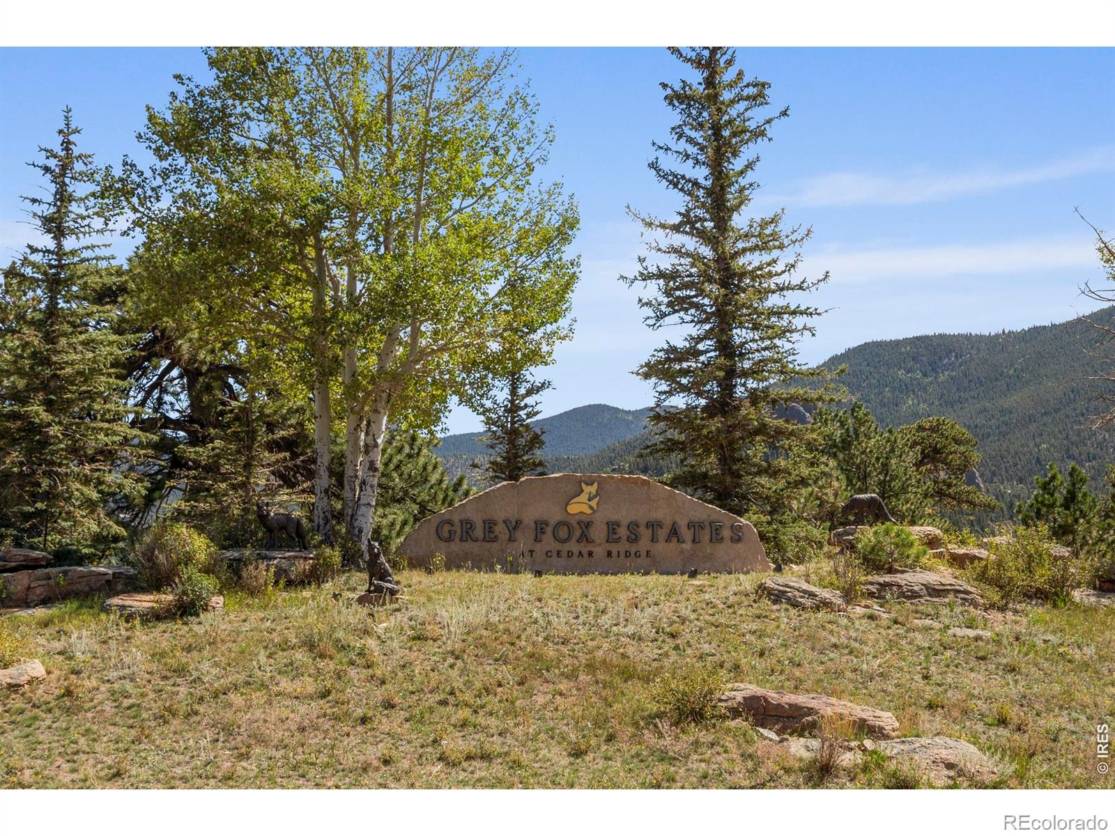 303 Green Pine Court Estes Park CO 80517