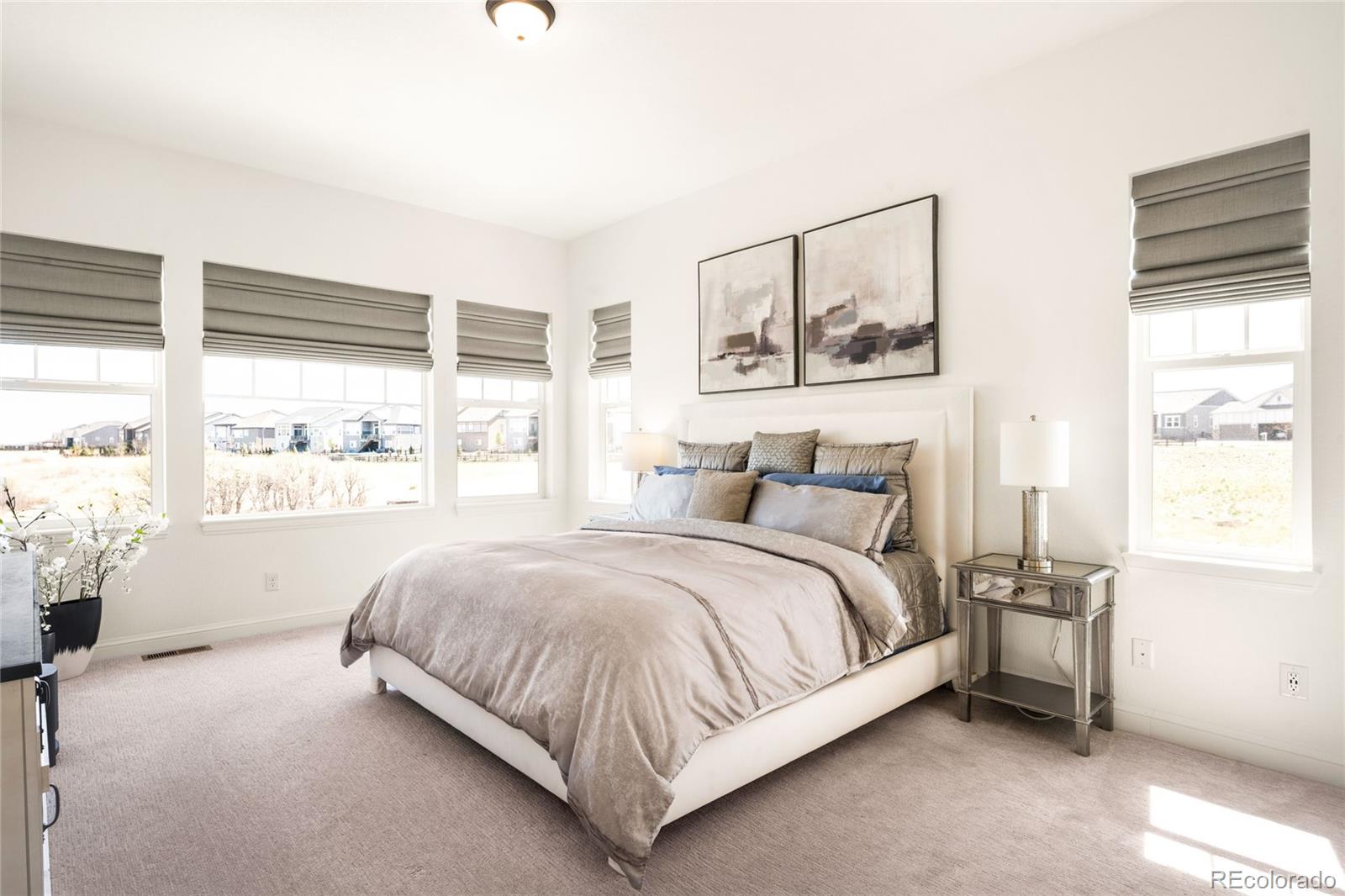 3153 Carabiner Street Castle Rock CO 80108