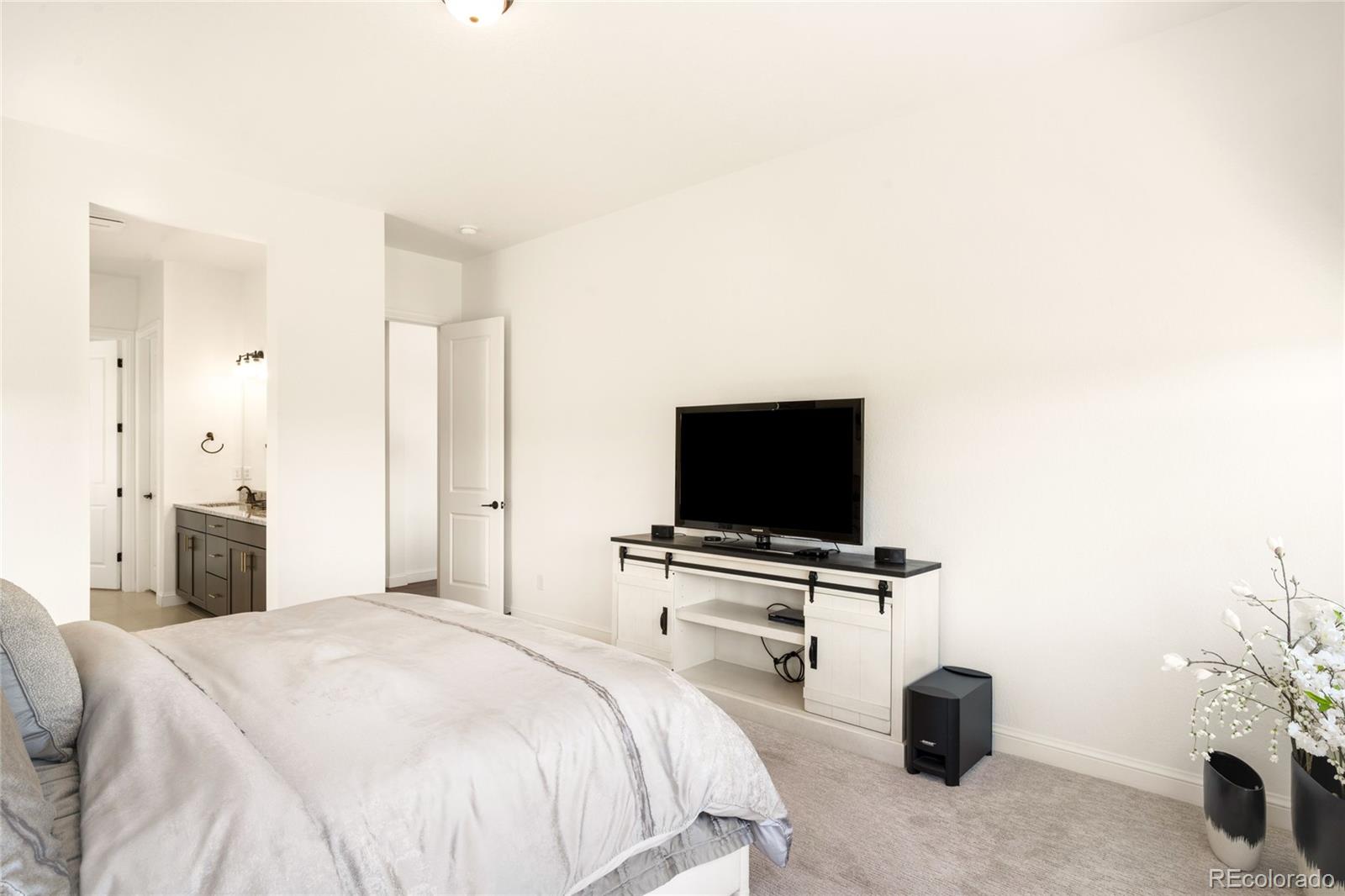 3153 Carabiner Street Castle Rock CO 80108