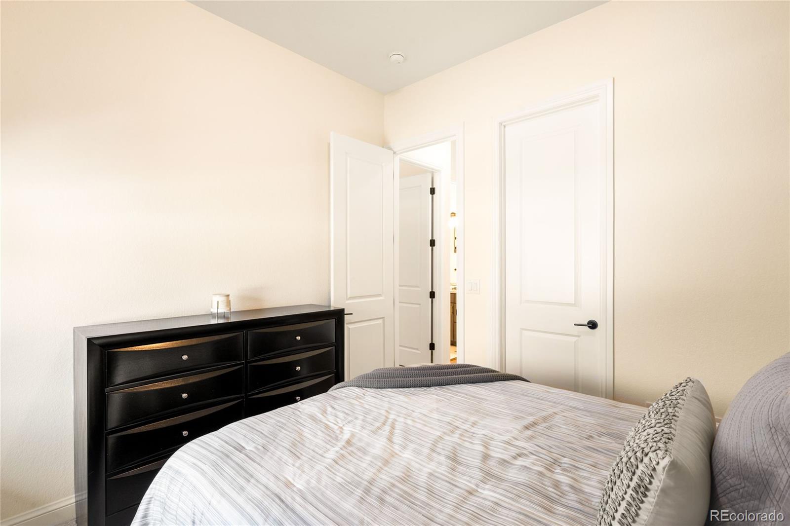 3153 Carabiner Street Castle Rock CO 80108