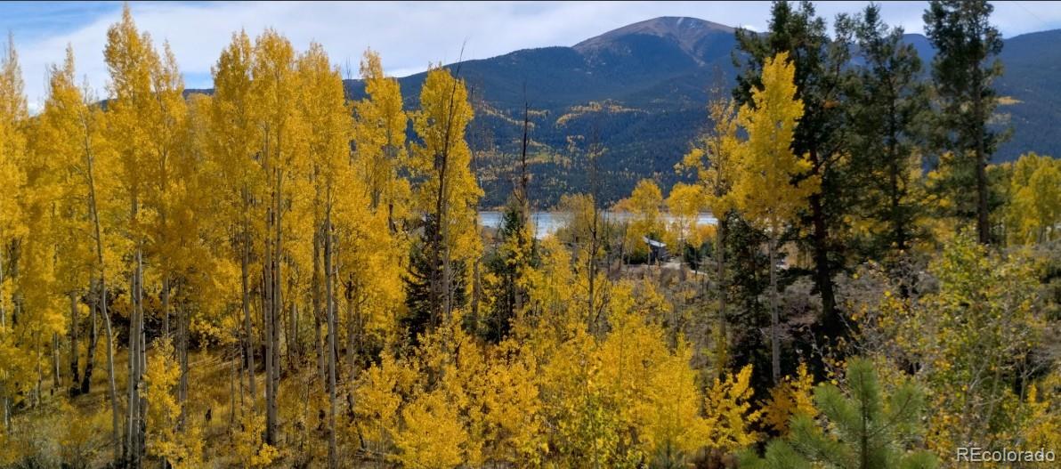 550 Cedar Drive Leadville CO 80461