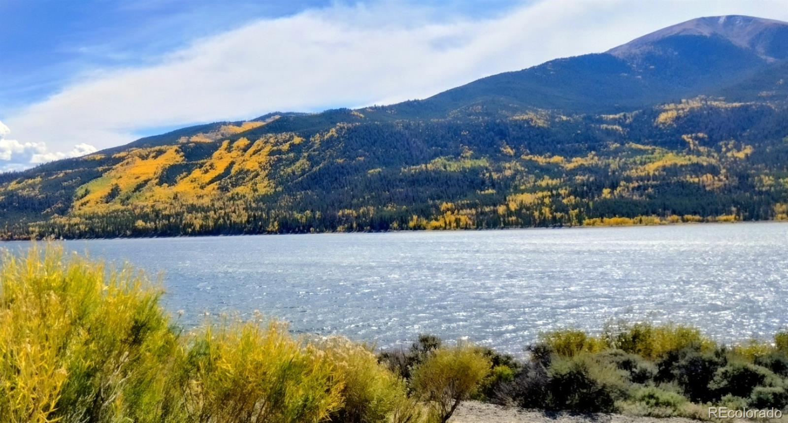 550 Cedar Drive Leadville CO 80461