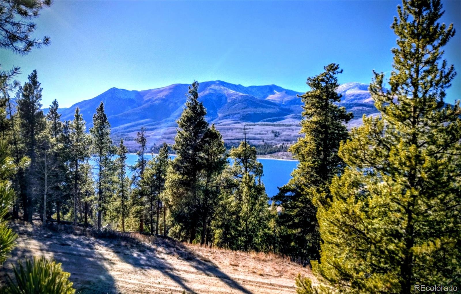 550 Cedar Drive Leadville CO 80461