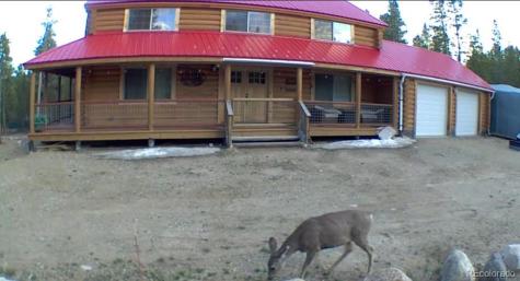 550 Cedar Drive Leadville CO 80461