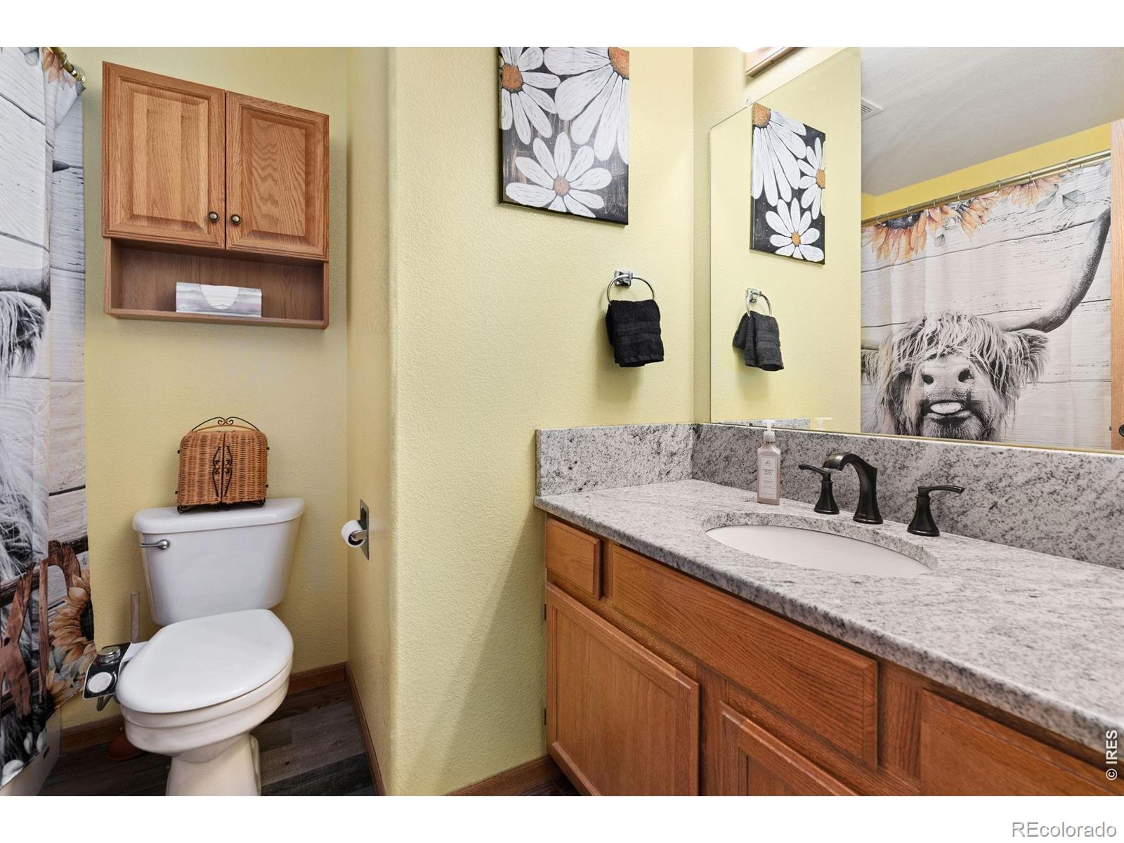 953 N Greeley Avenue Johnstown CO 80534