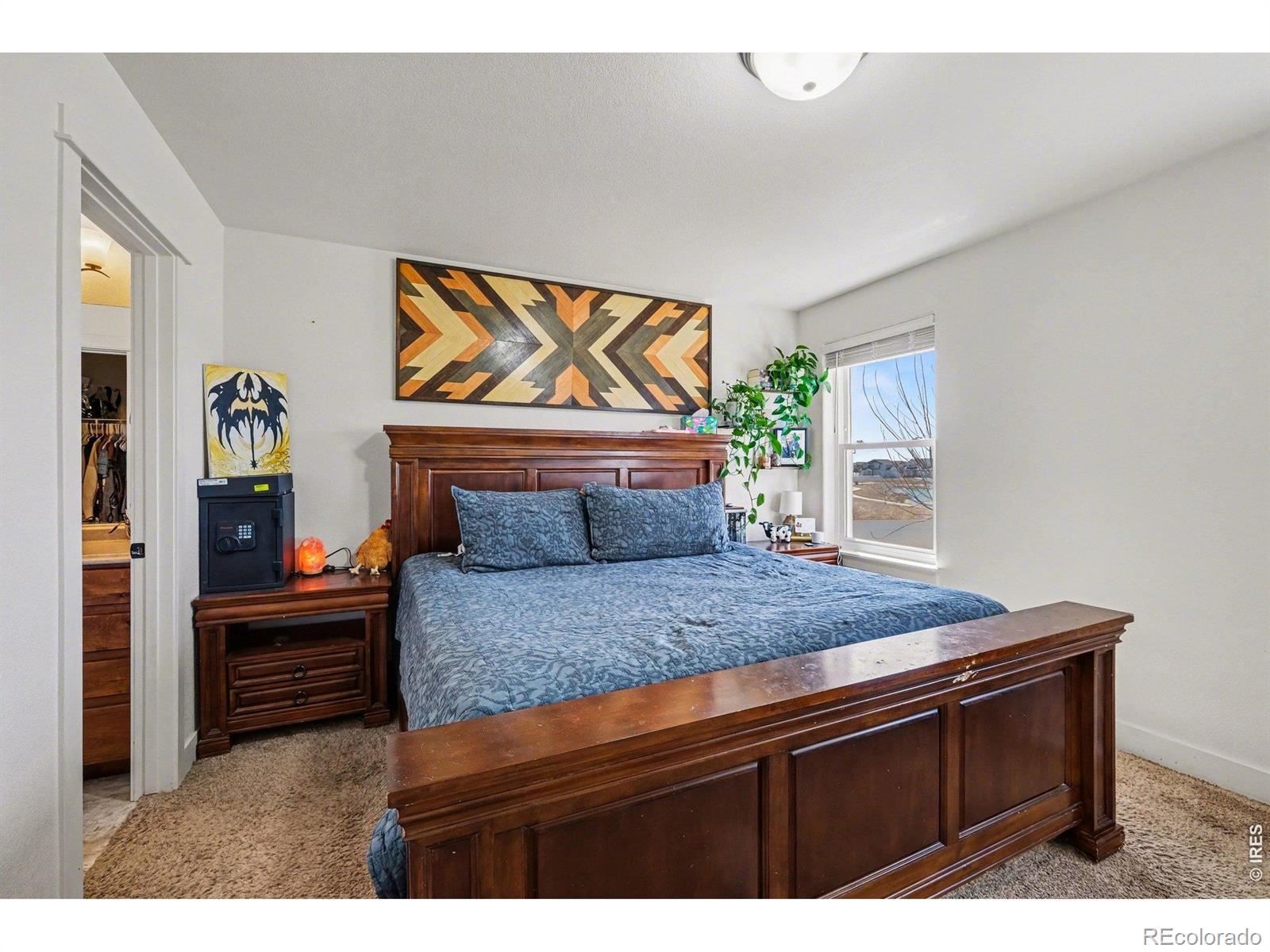 915 Barasingha Street Severance CO 80550