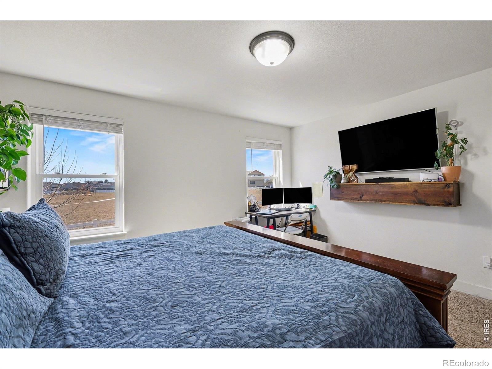 915 Barasingha Street Severance CO 80550