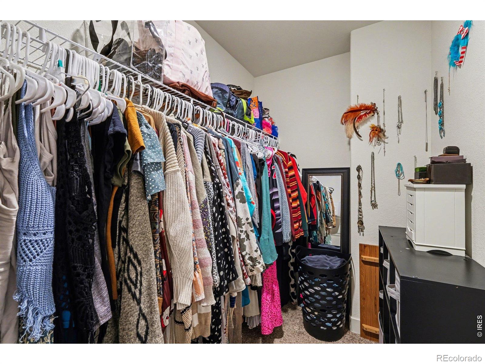915 Barasingha Street Severance CO 80550