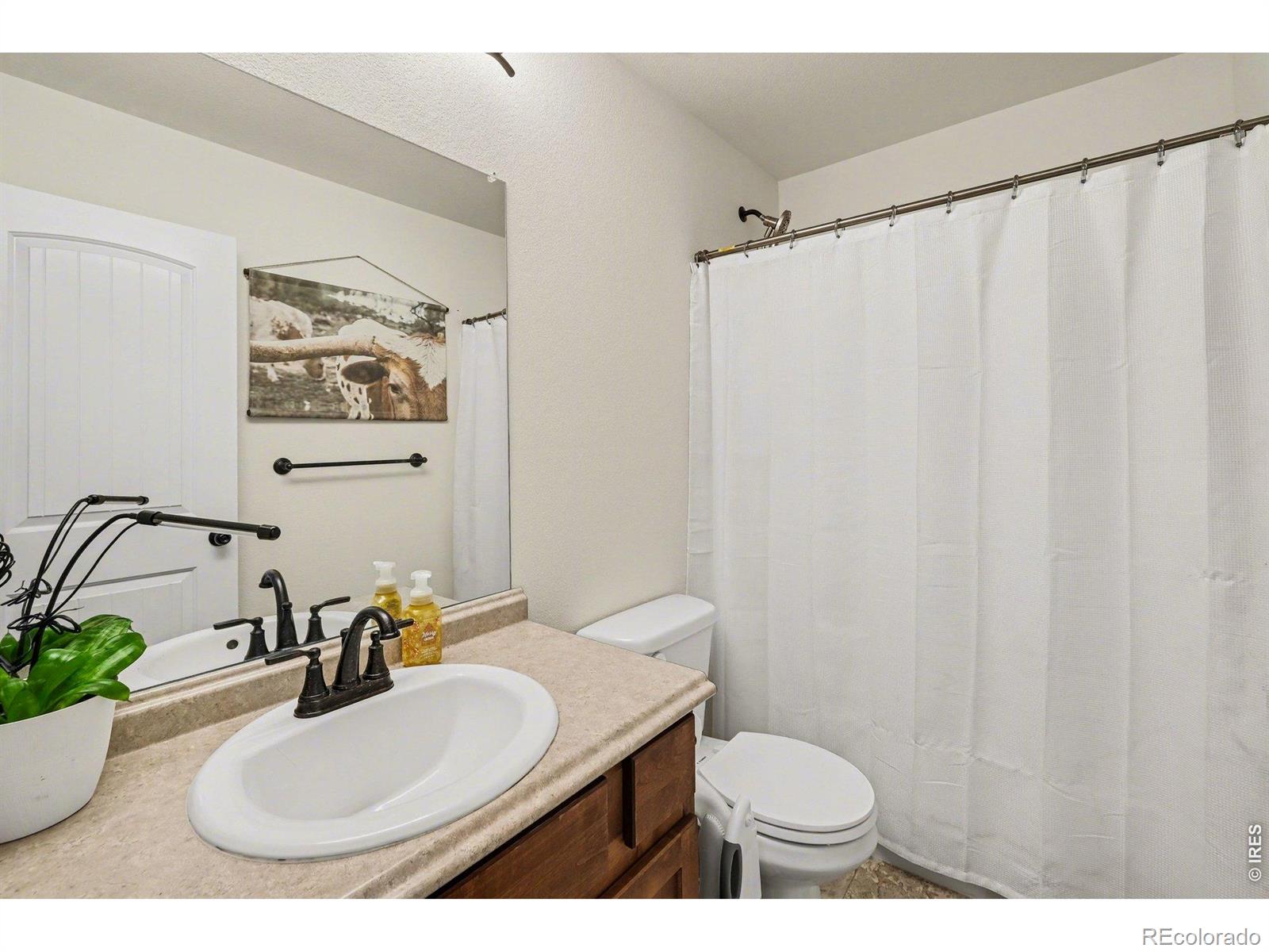 915 Barasingha Street Severance CO 80550
