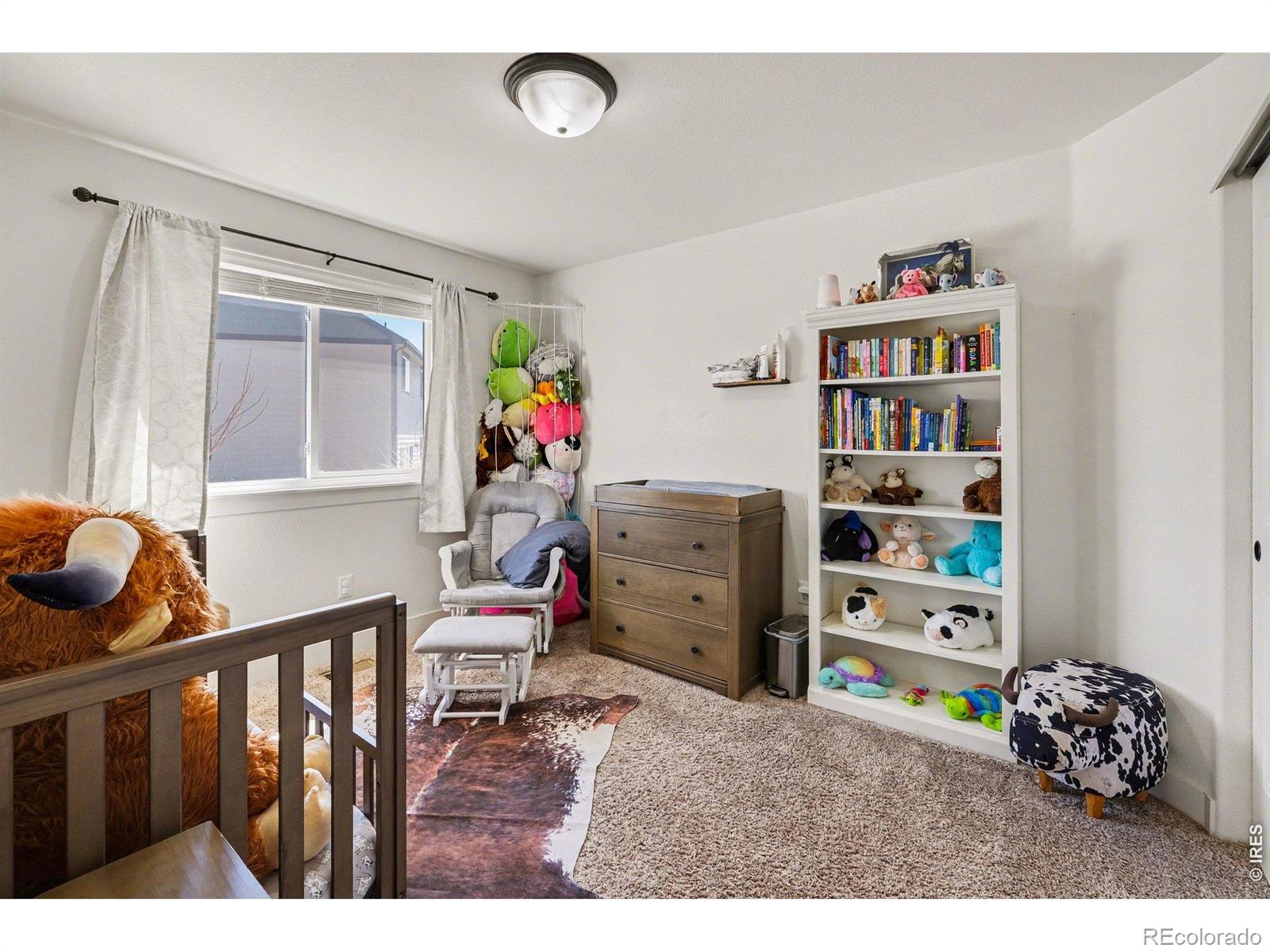 915 Barasingha Street Severance CO 80550