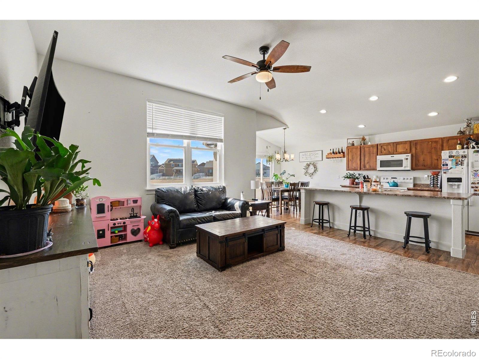 915 Barasingha Street Severance CO 80550