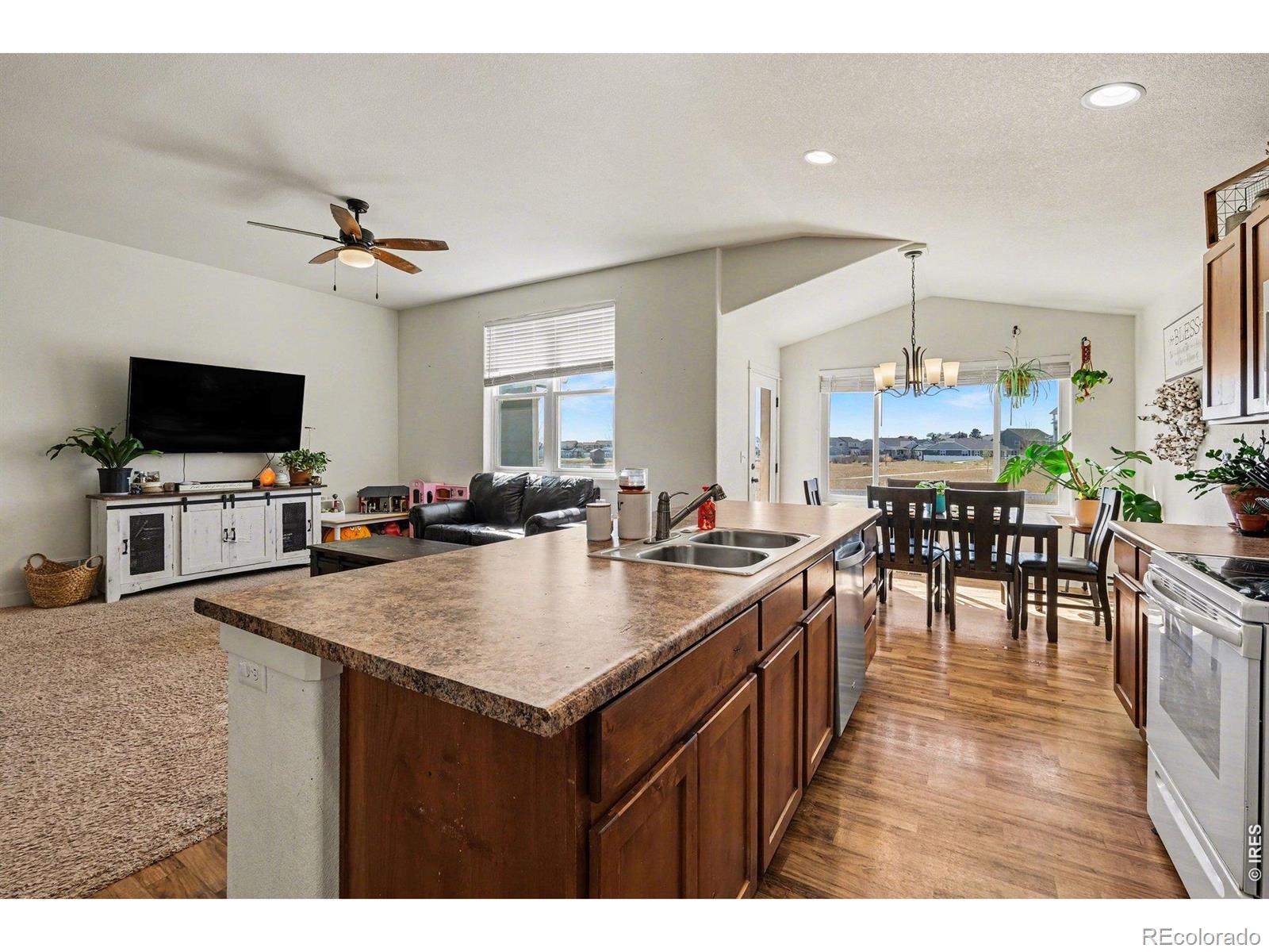 915 Barasingha Street Severance CO 80550