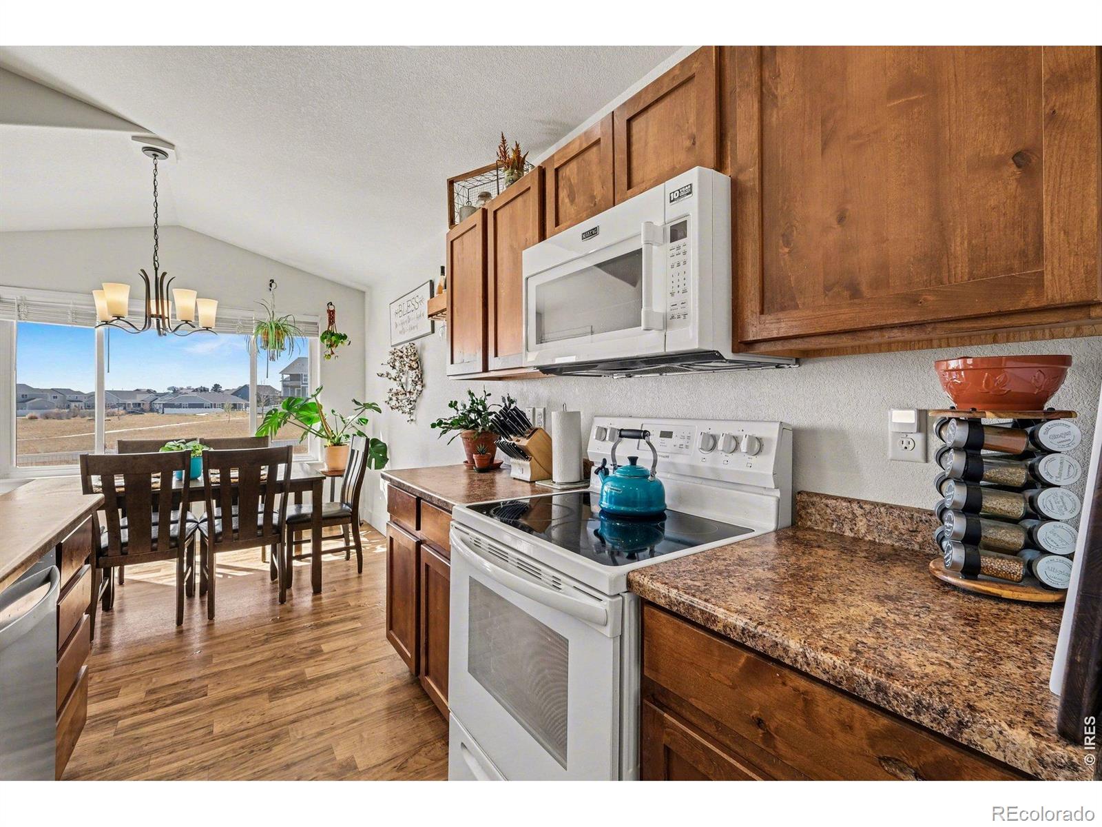 915 Barasingha Street Severance CO 80550