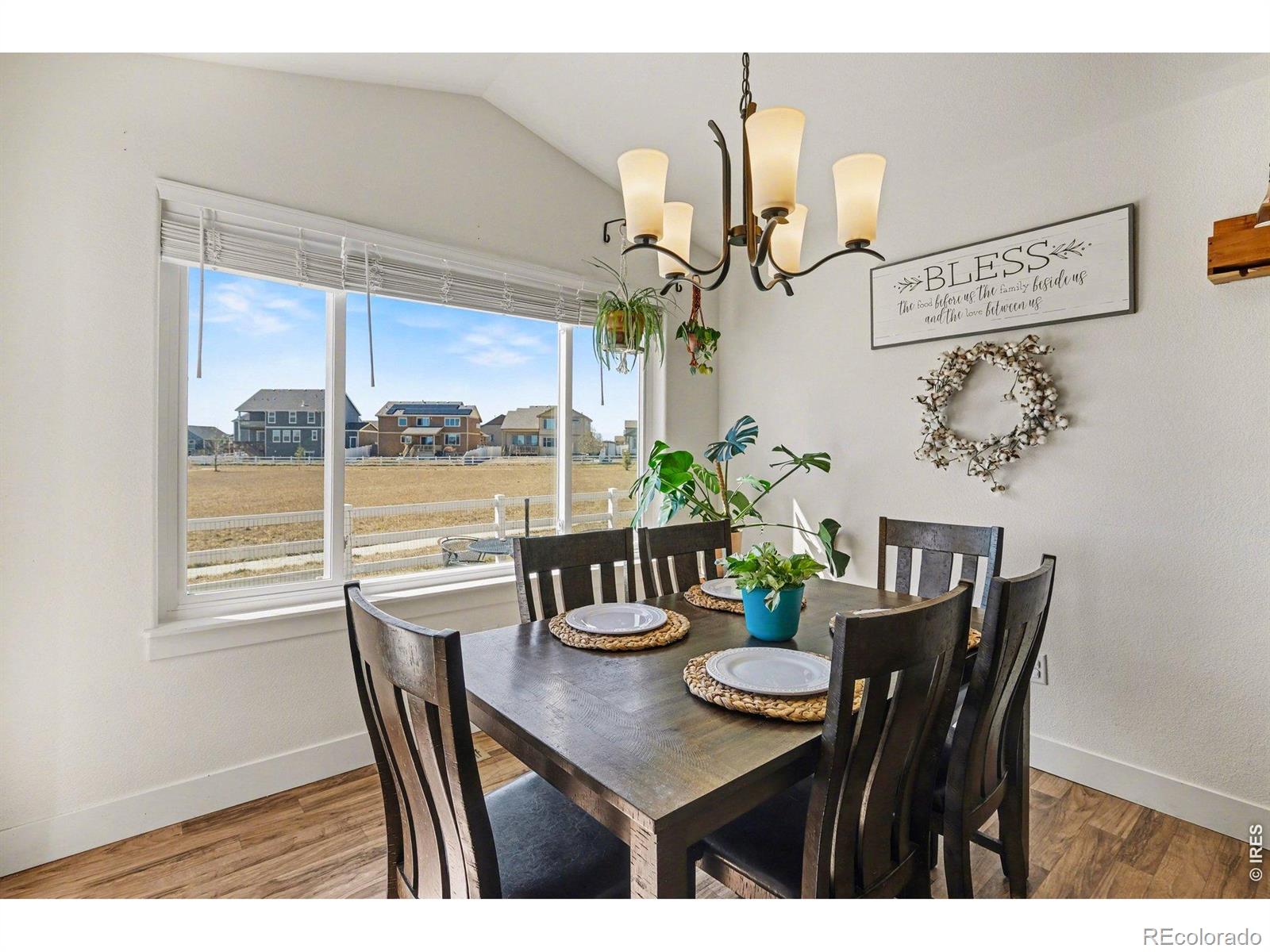 915 Barasingha Street Severance CO 80550