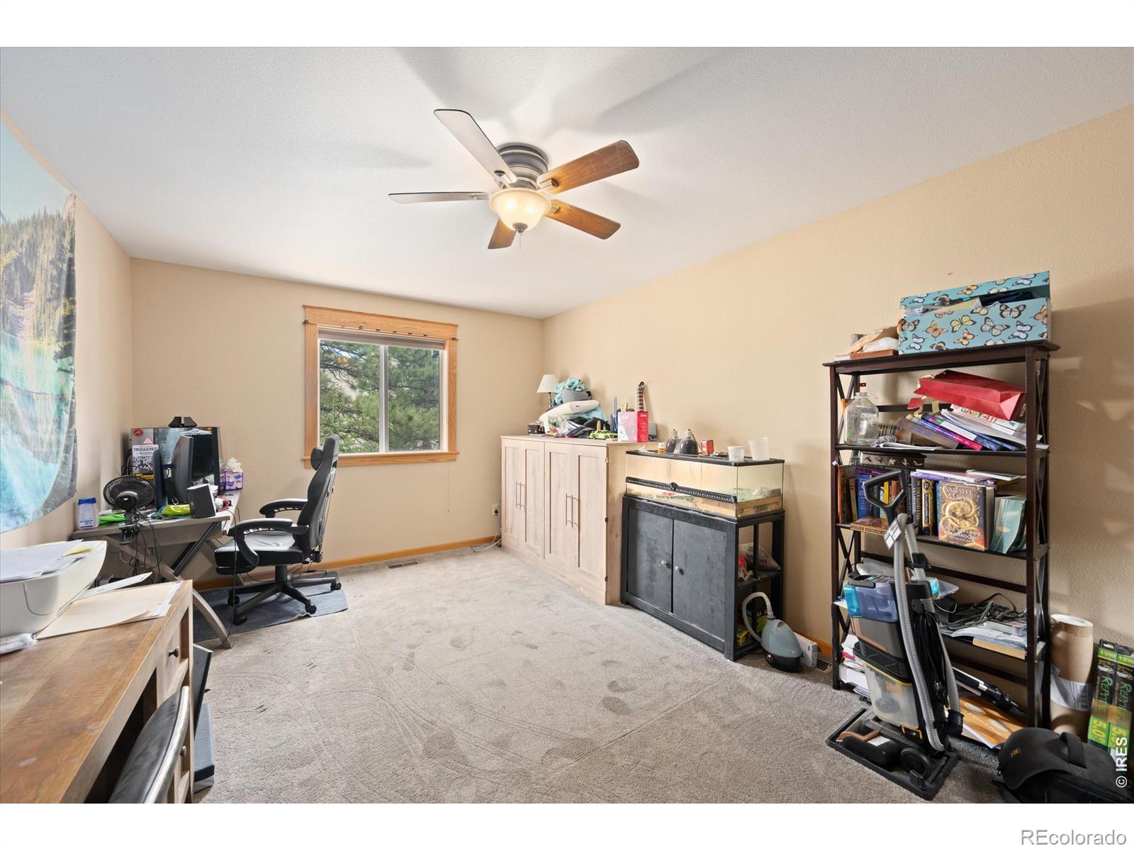 842 Unger Mountain Road Bellvue CO 80512
