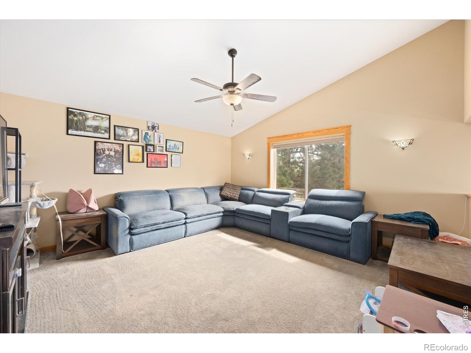 842 Unger Mountain Road Bellvue CO 80512