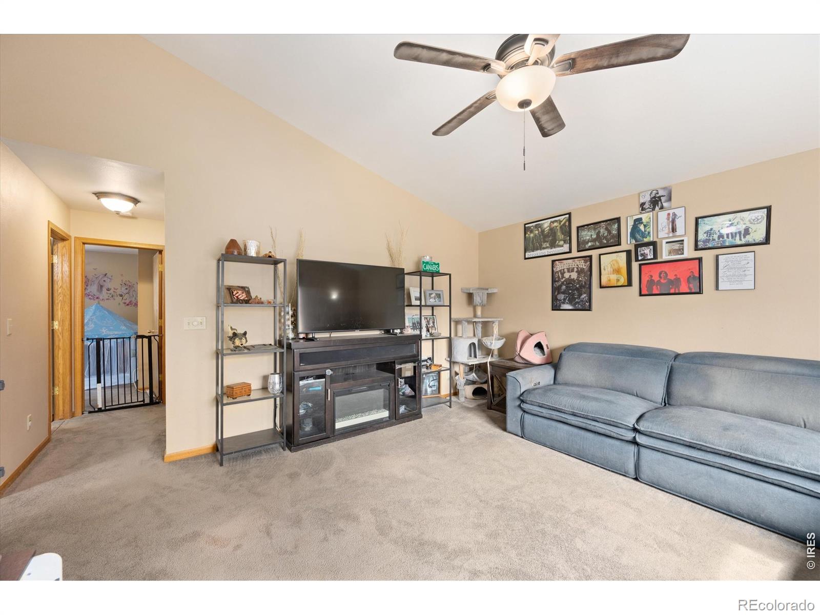 842 Unger Mountain Road Bellvue CO 80512