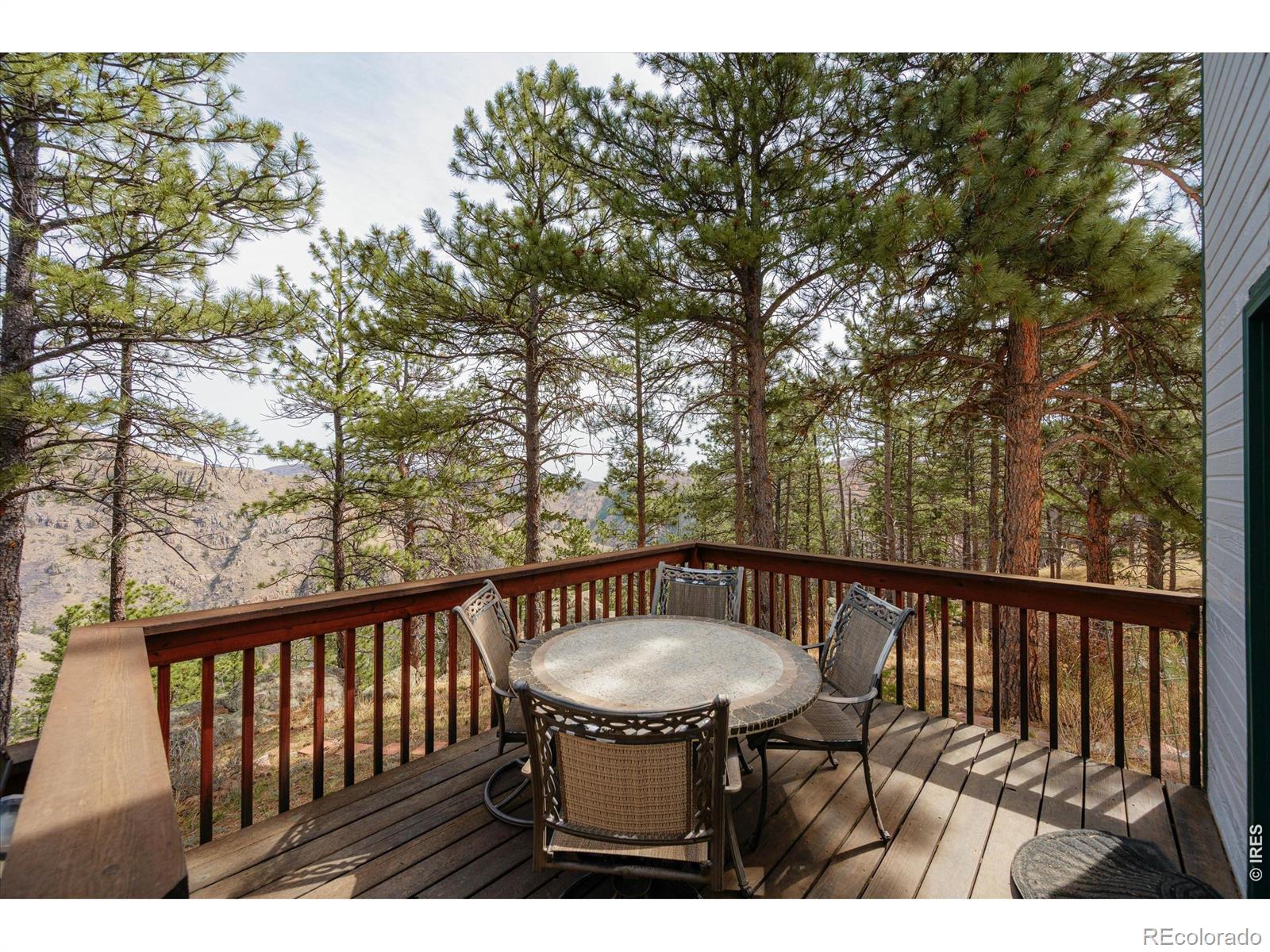 842 Unger Mountain Road Bellvue CO 80512