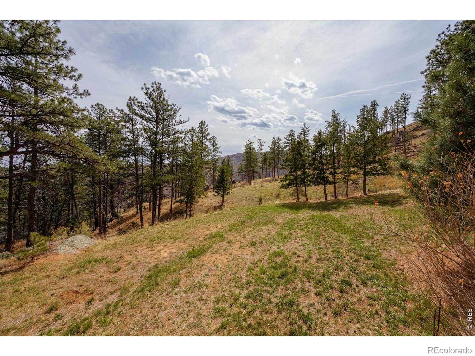 842 Unger Mountain Road Bellvue CO 80512