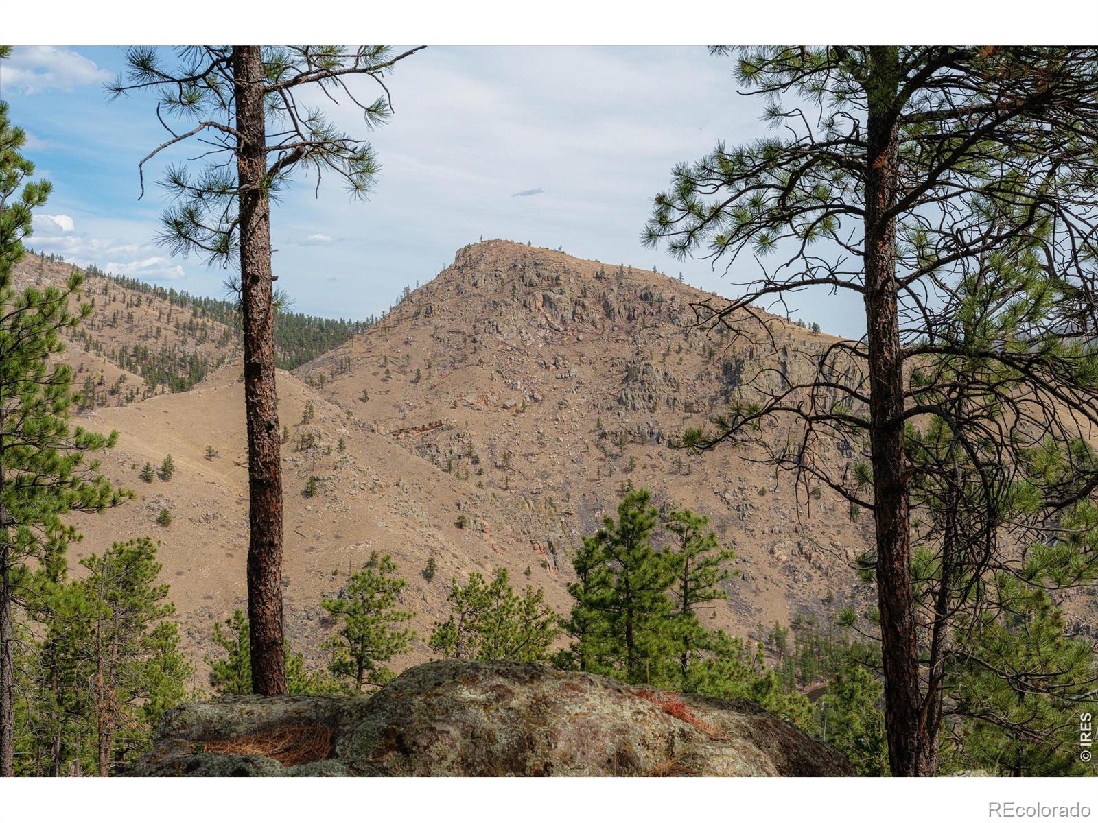 842 Unger Mountain Road Bellvue CO 80512