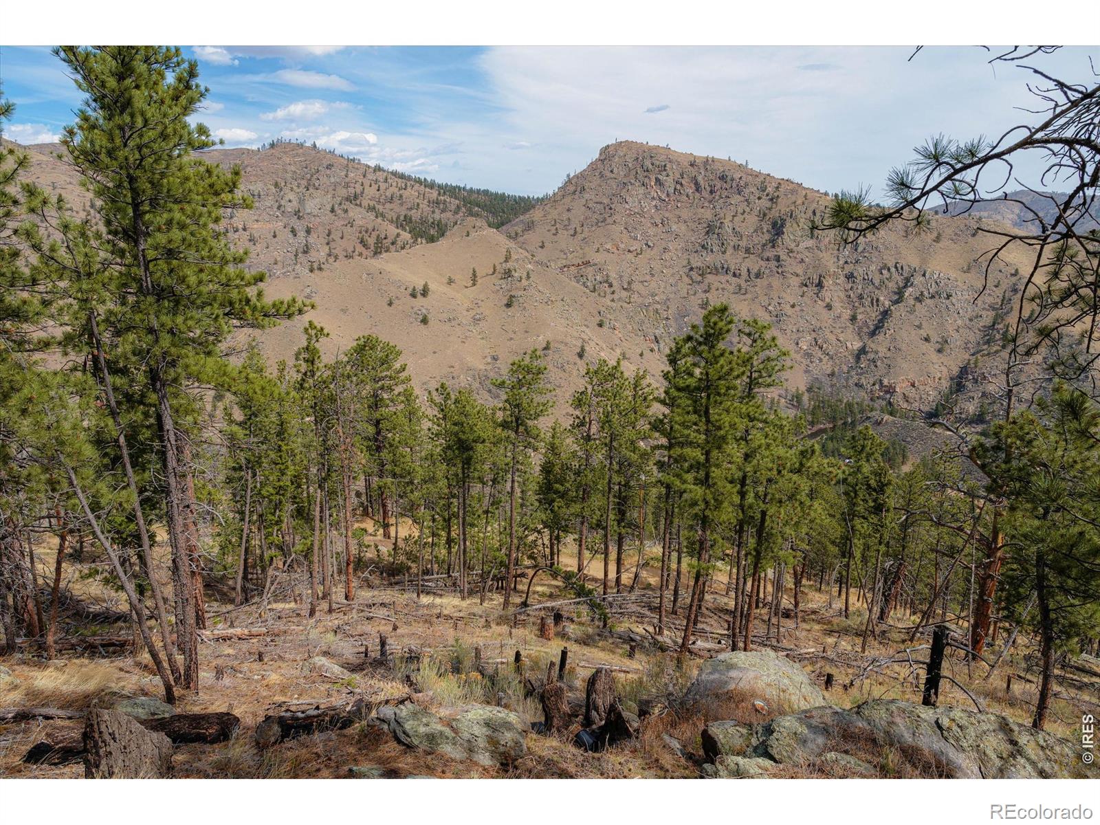 842 Unger Mountain Road Bellvue CO 80512
