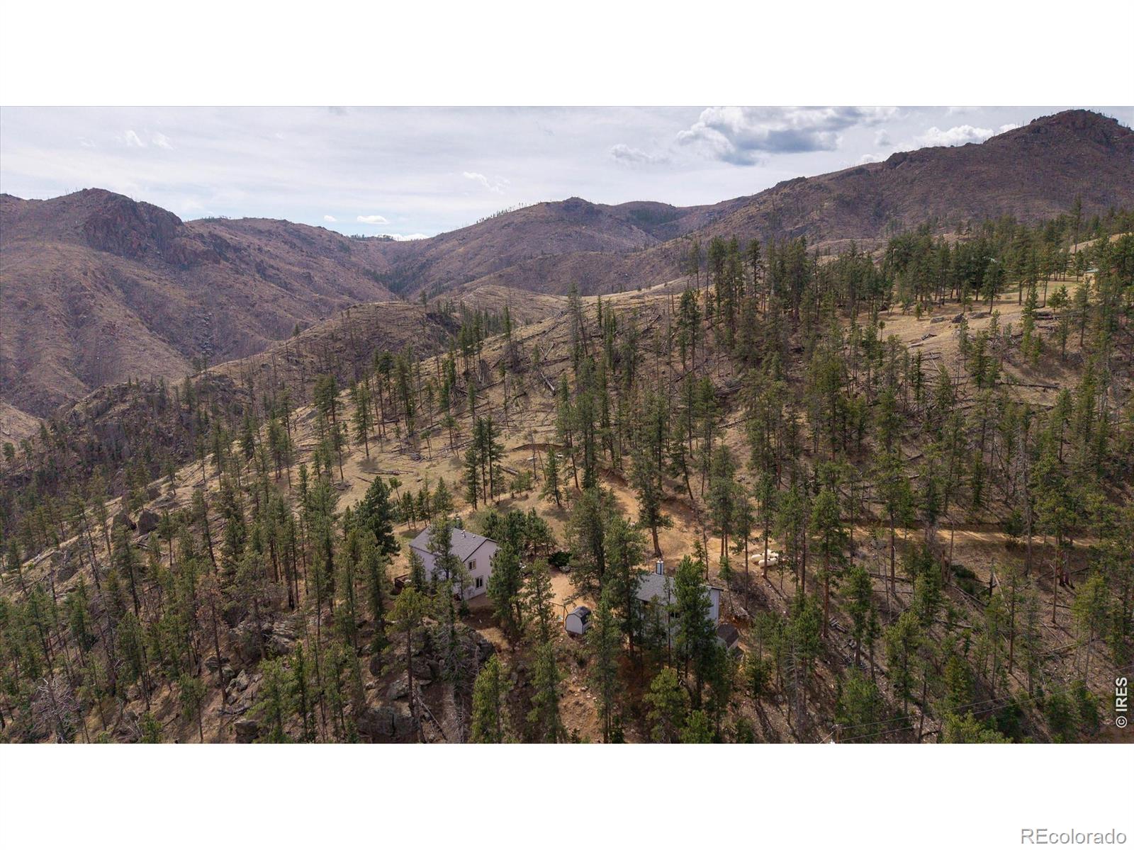 842 Unger Mountain Road Bellvue CO 80512