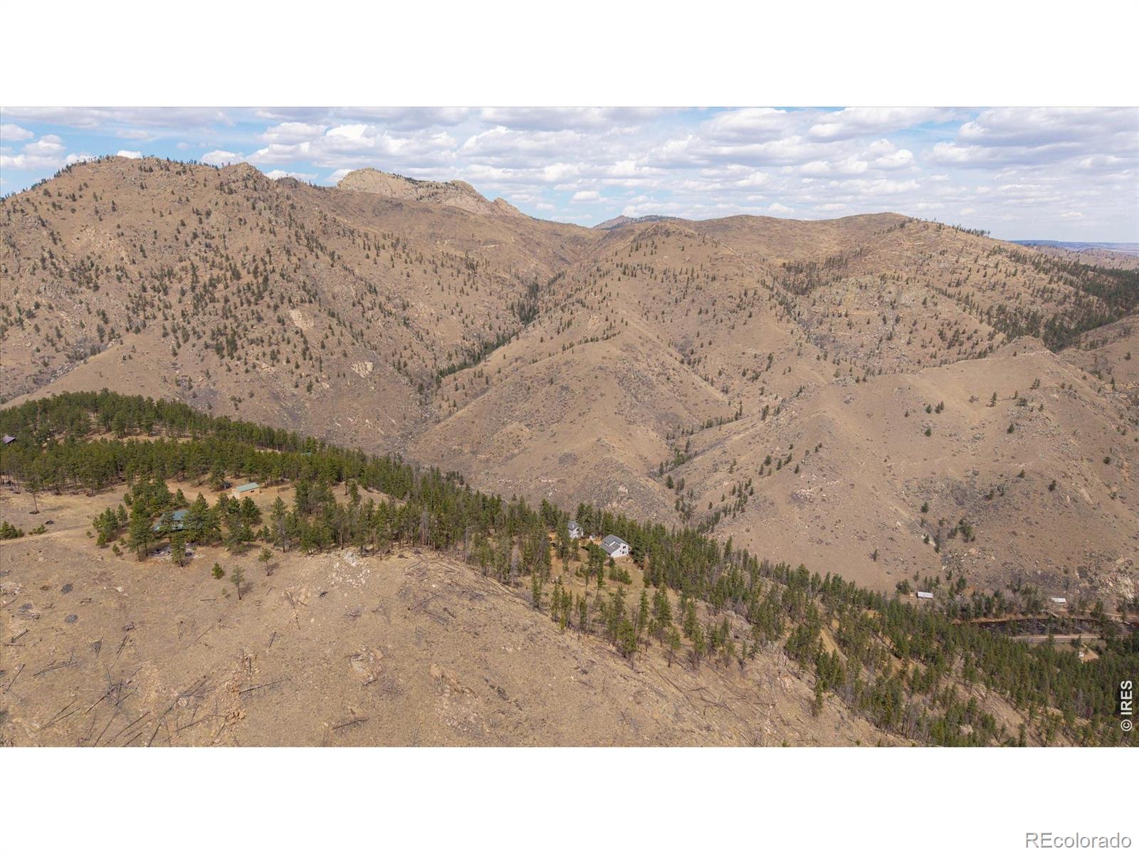842 Unger Mountain Road Bellvue CO 80512