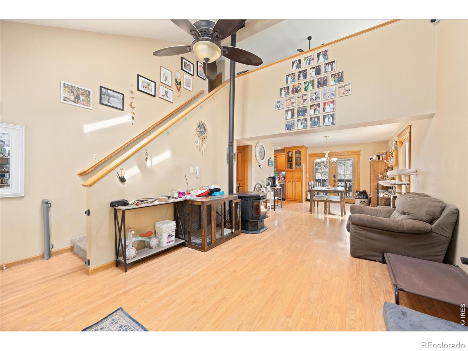 842 Unger Mountain Road Bellvue CO 80512