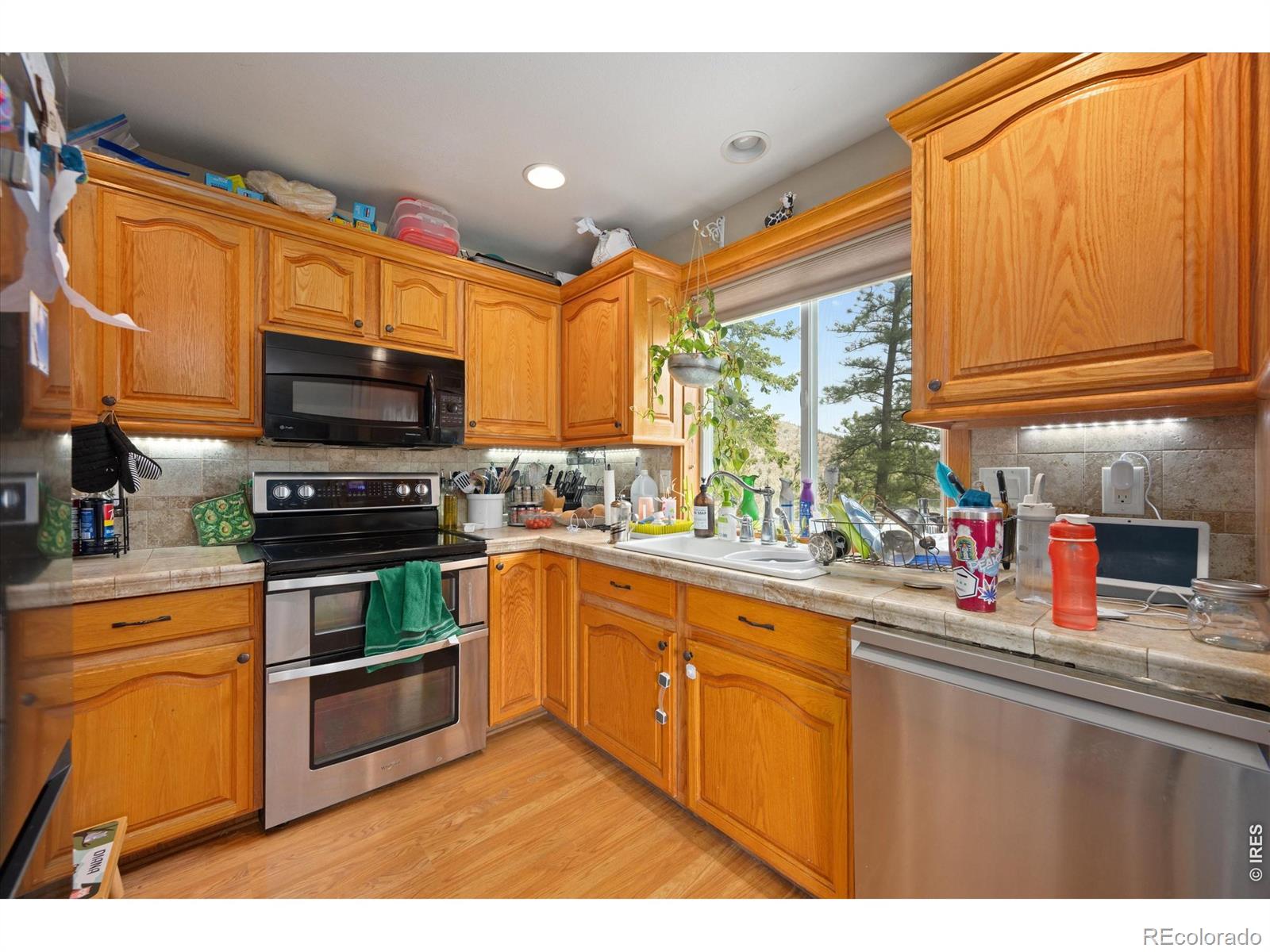 842 Unger Mountain Road Bellvue CO 80512