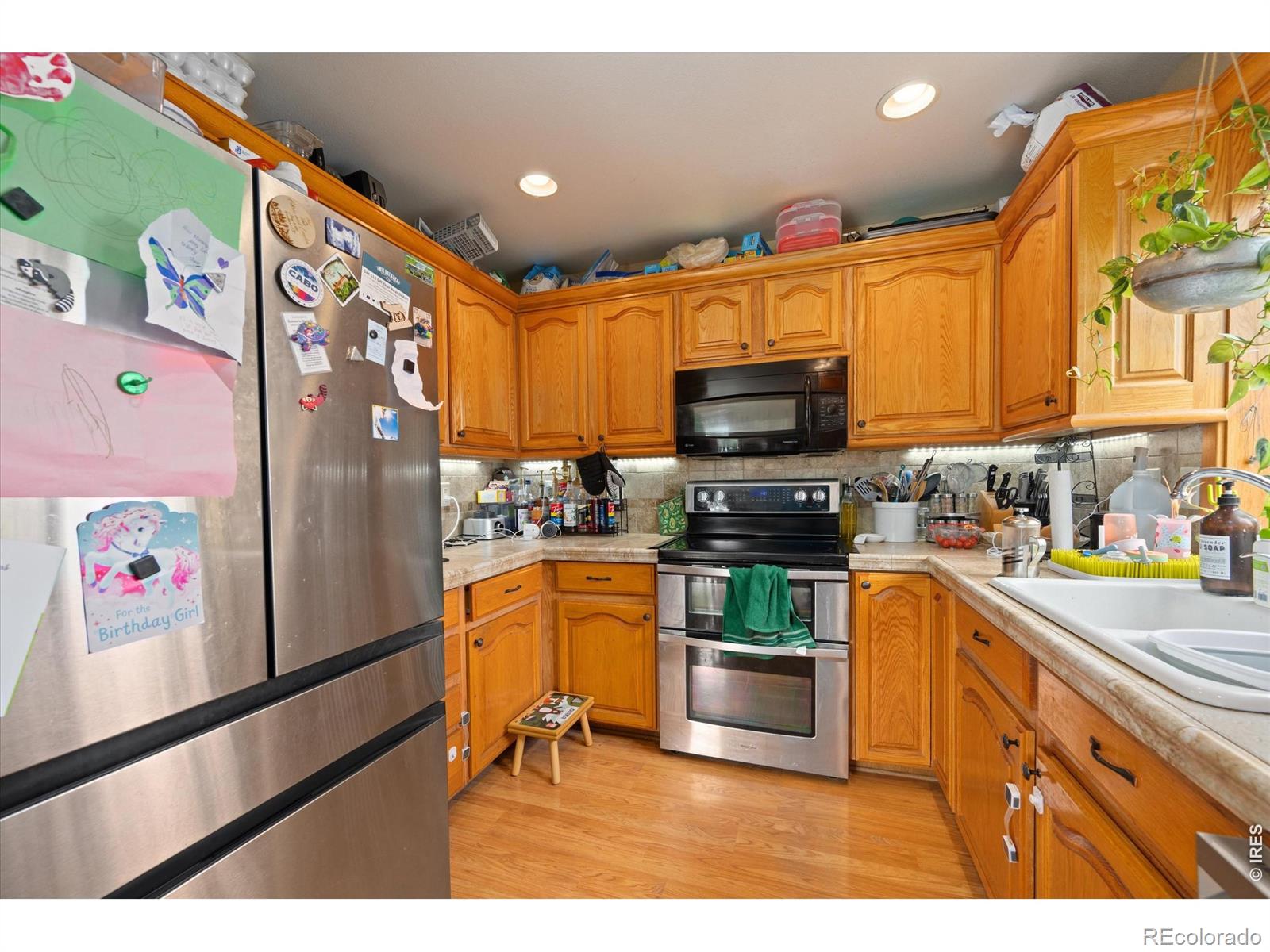 842 Unger Mountain Road Bellvue CO 80512